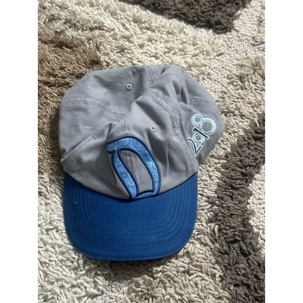 Disney Park Snapback Hat Mens Gray Baseball Cap Logo Patch Mickey Mouse